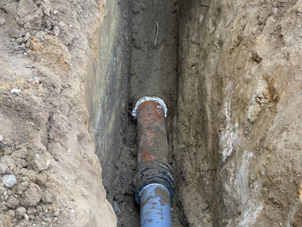 Best Basement water damage restoration  in Point Mackenzie, AK