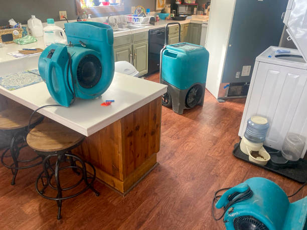 Best Professional water damage repair  in Point Mackenzie, AK