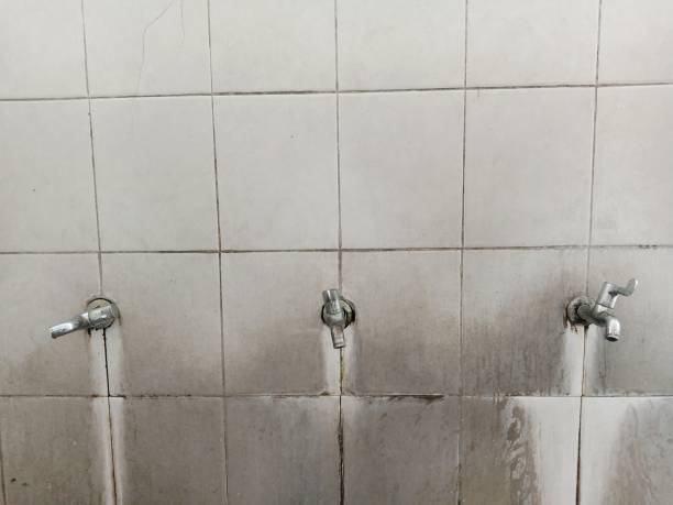Carpet water damage restoration in AK