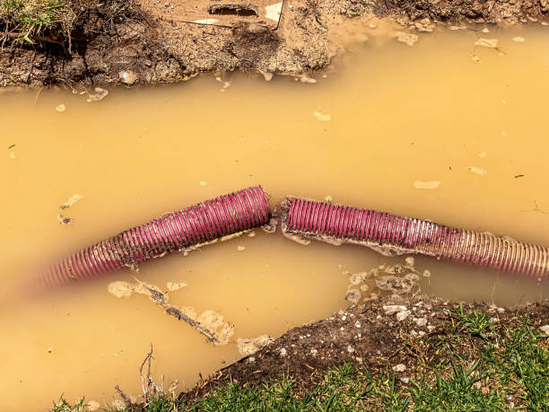 Best Water damage restoration mold remediation  in Point Mackenzie, AK
